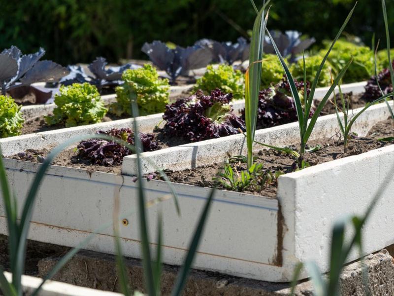 Quinta De Carcavelos Natures Home أمارانتي المظهر الخارجي الصورة